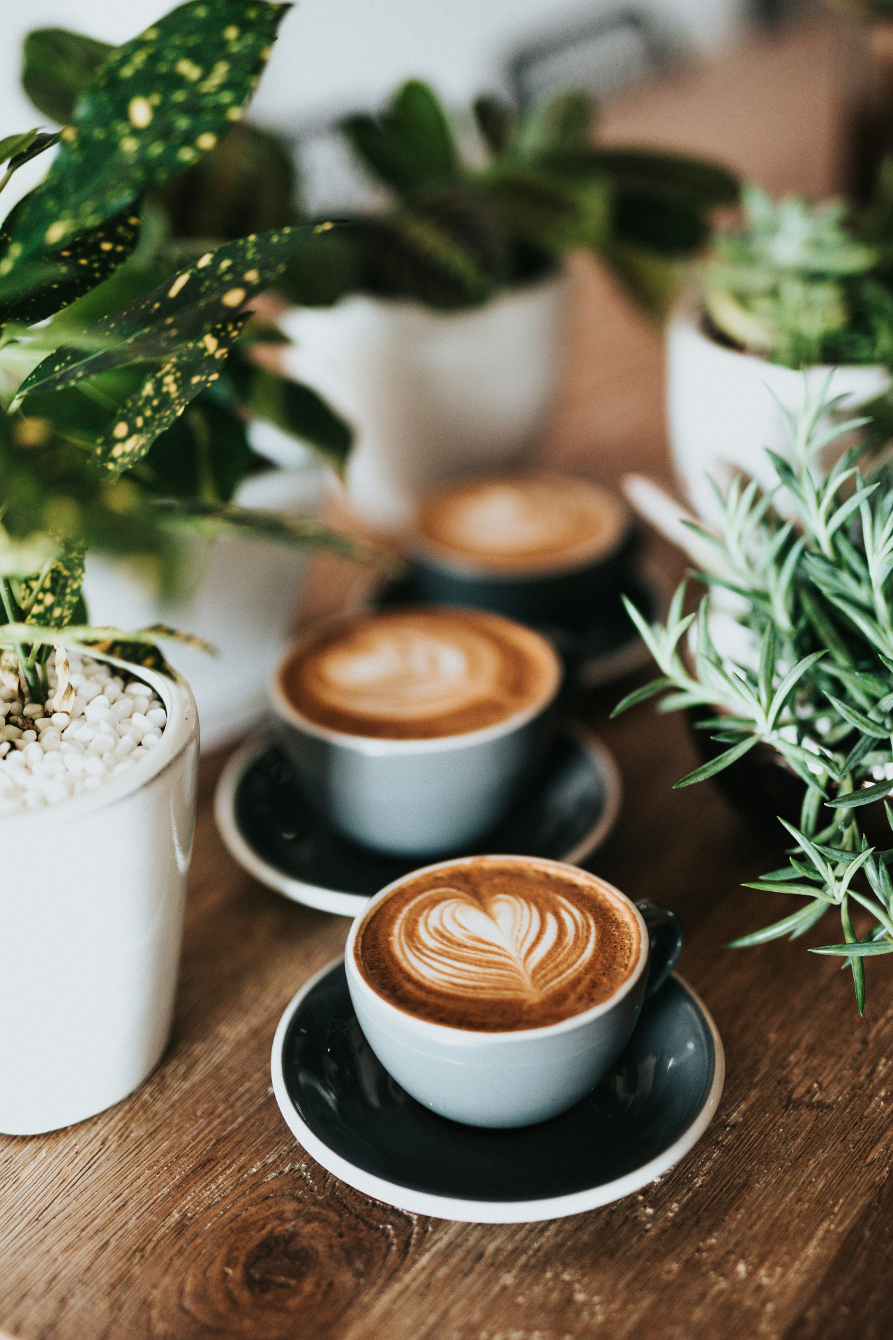 Latte art in cups surrounded by plants